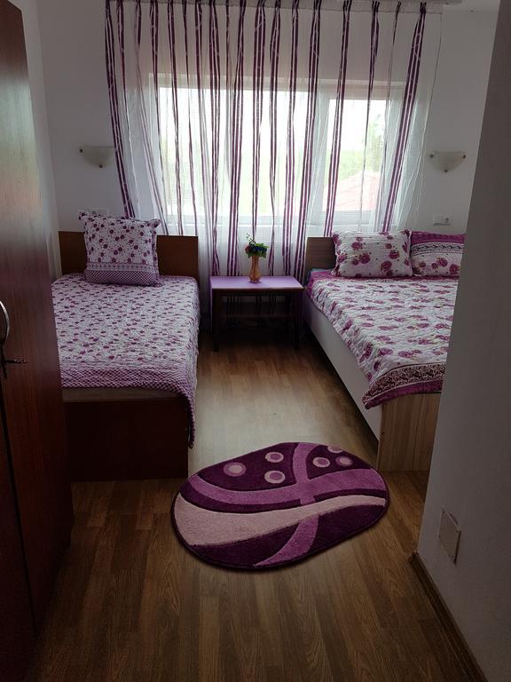 Casa Rustica Apart & Rooms Cimpineanca Exterior foto