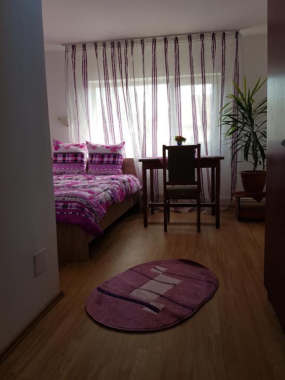 Casa Rustica Apart & Rooms Cimpineanca Exterior foto